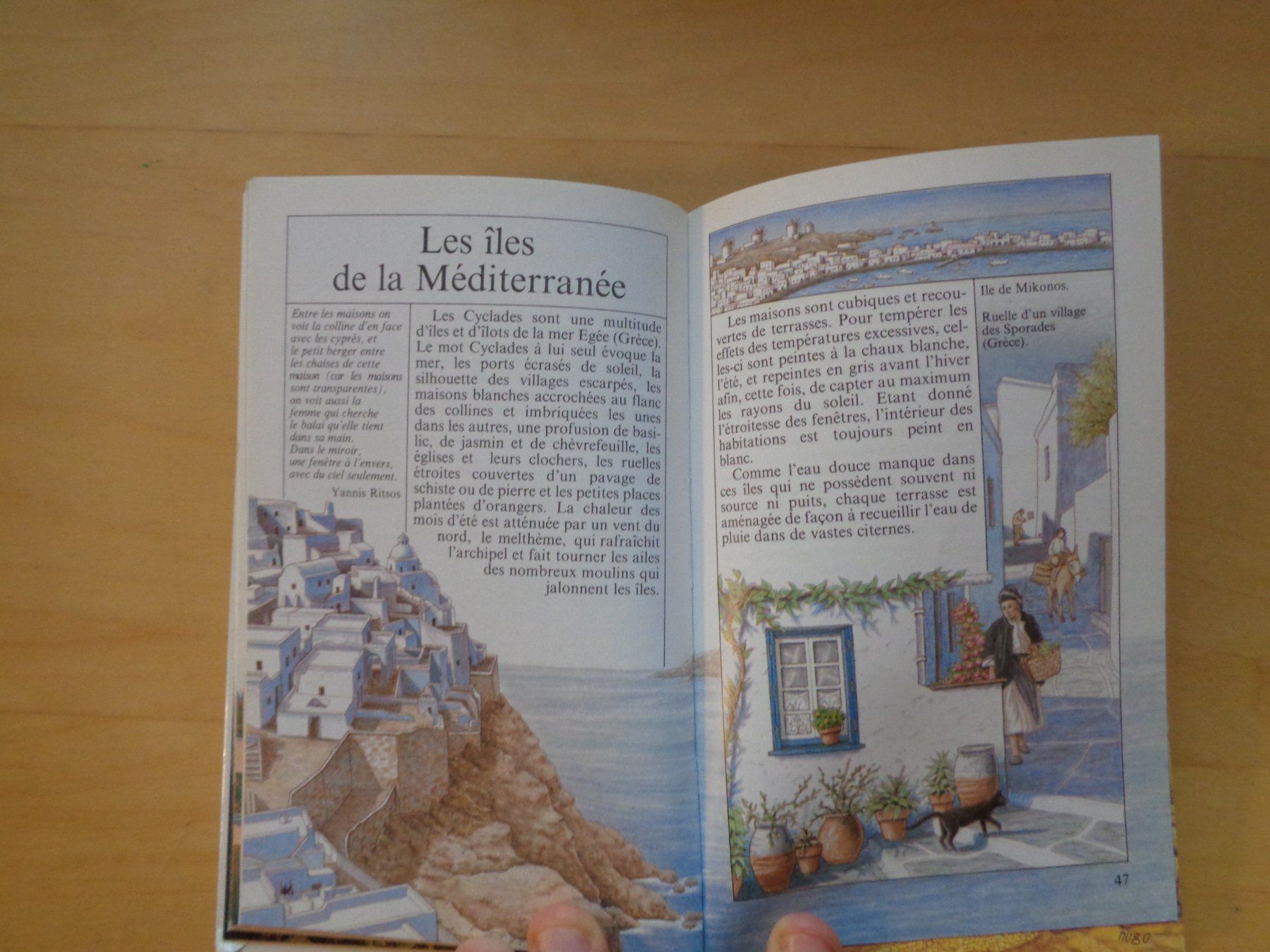 Libri: 7 x Le Livre de... Découverte Mondo – Usato da Romainmôtier venduto da Oaxaca9 7
