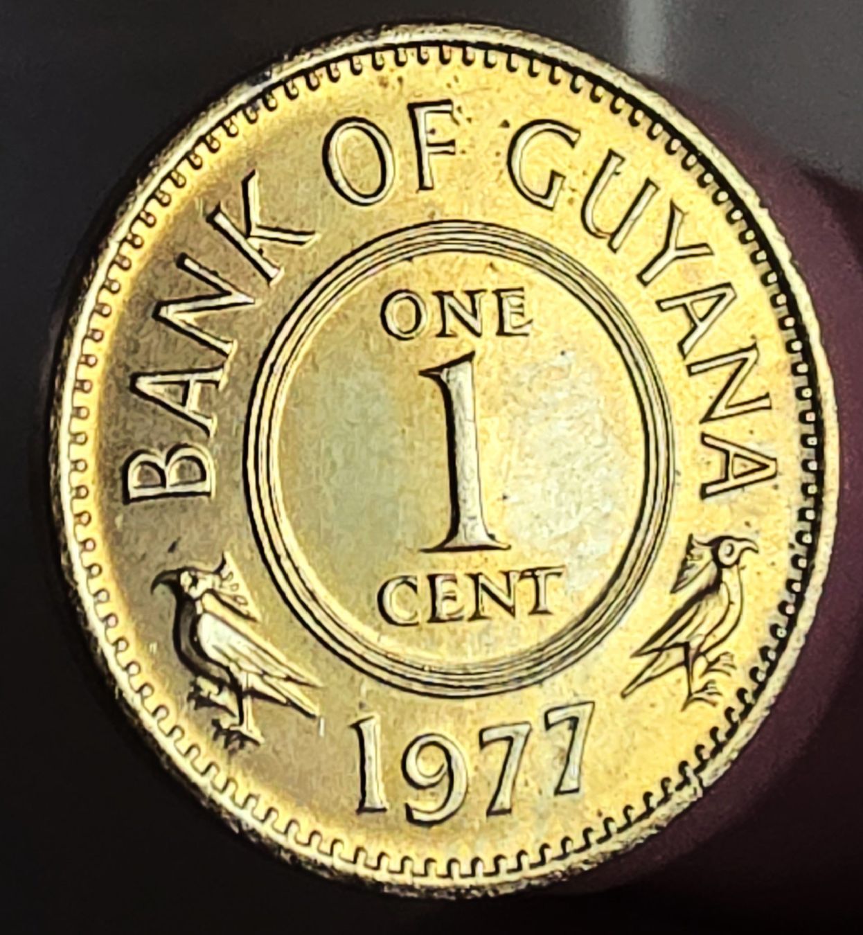 Alle Münzen: GUYANA 1 CENT 1977 UNZ. – Neu (gemäss Beschreibung) aus winterthur von CoinPassion 1
