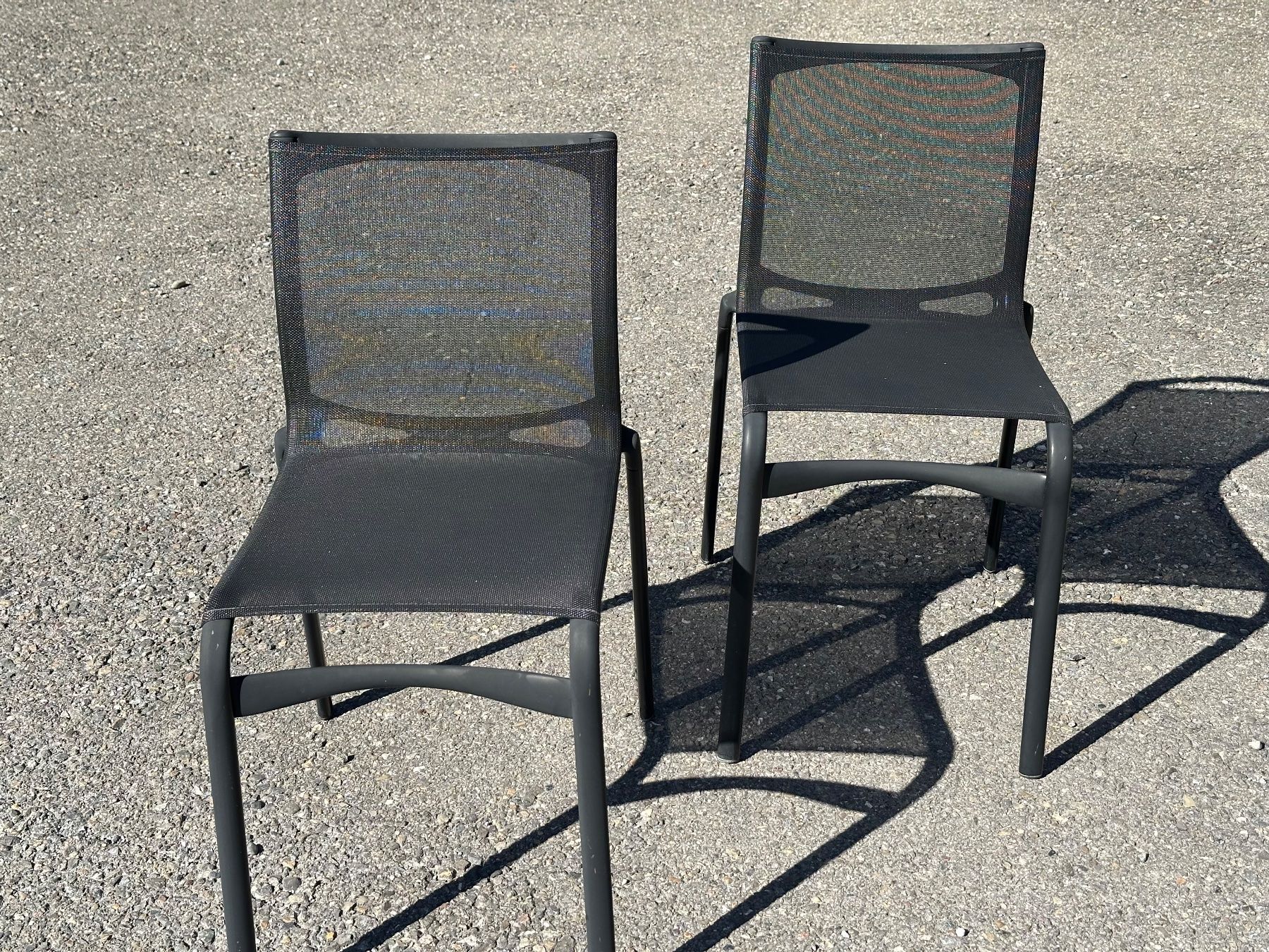 Alias Stühle: 2 Alias Bigframe Stühle – Designklassiker – Gebraucht aus Otelfingen von Yossi-68