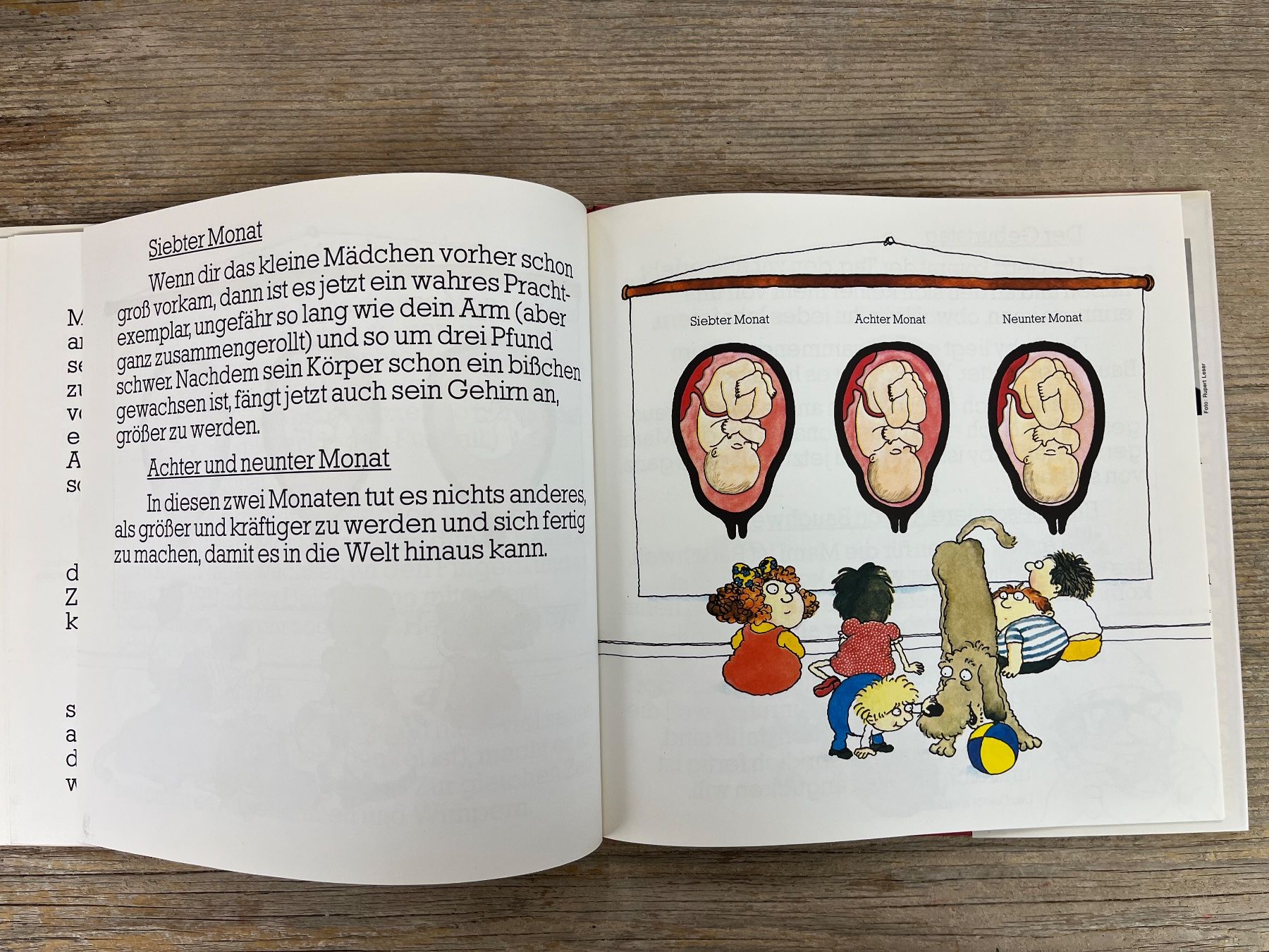 Libri: Aufklärung: Wo komm`ich eigentlich her? Dr. Thäddäus Troll – Usato da Pfäffikon ZH venduto da buresi 7