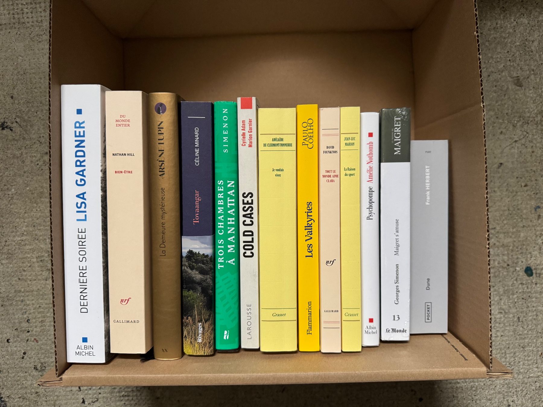 Libri: Littérature 2 : romans moyen format – Usato da Chêne-Bourg venduto da dem_y9pq