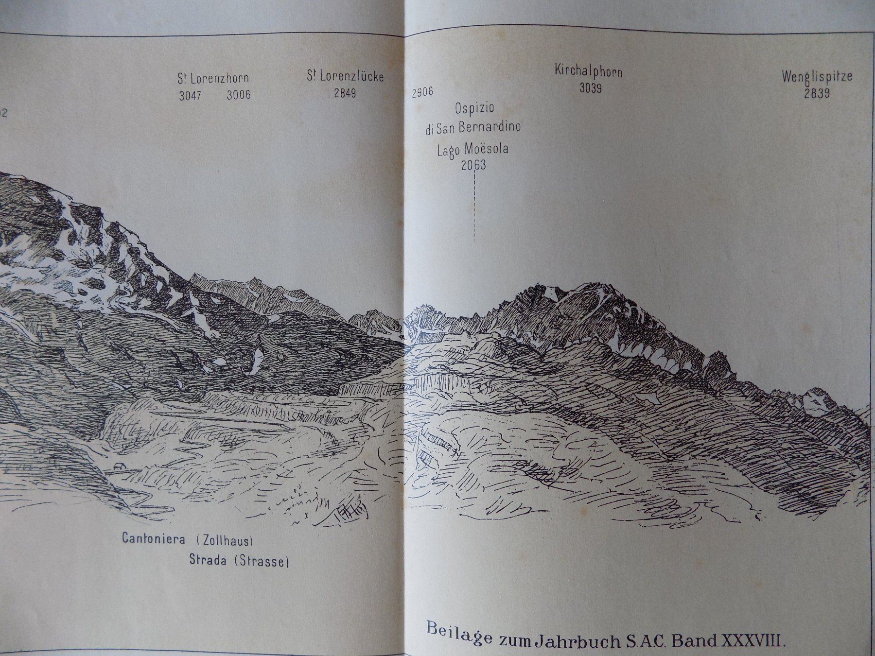 Incisioni: Panorama der Misoxer Alpen 1904 – Usato da Risch venduto da Antikfee 6