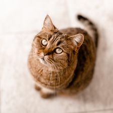 Profile image of Fotografin