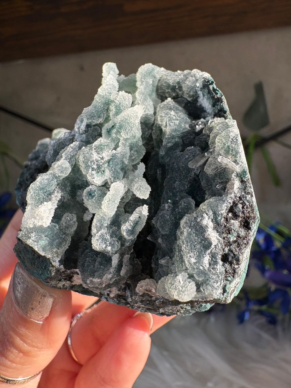 Minerali & Pietre curative: Grüner Chalcedon-Stalaktit – Nuovo (secondo la descrizione) da Neuheim venduto da m.hald 8