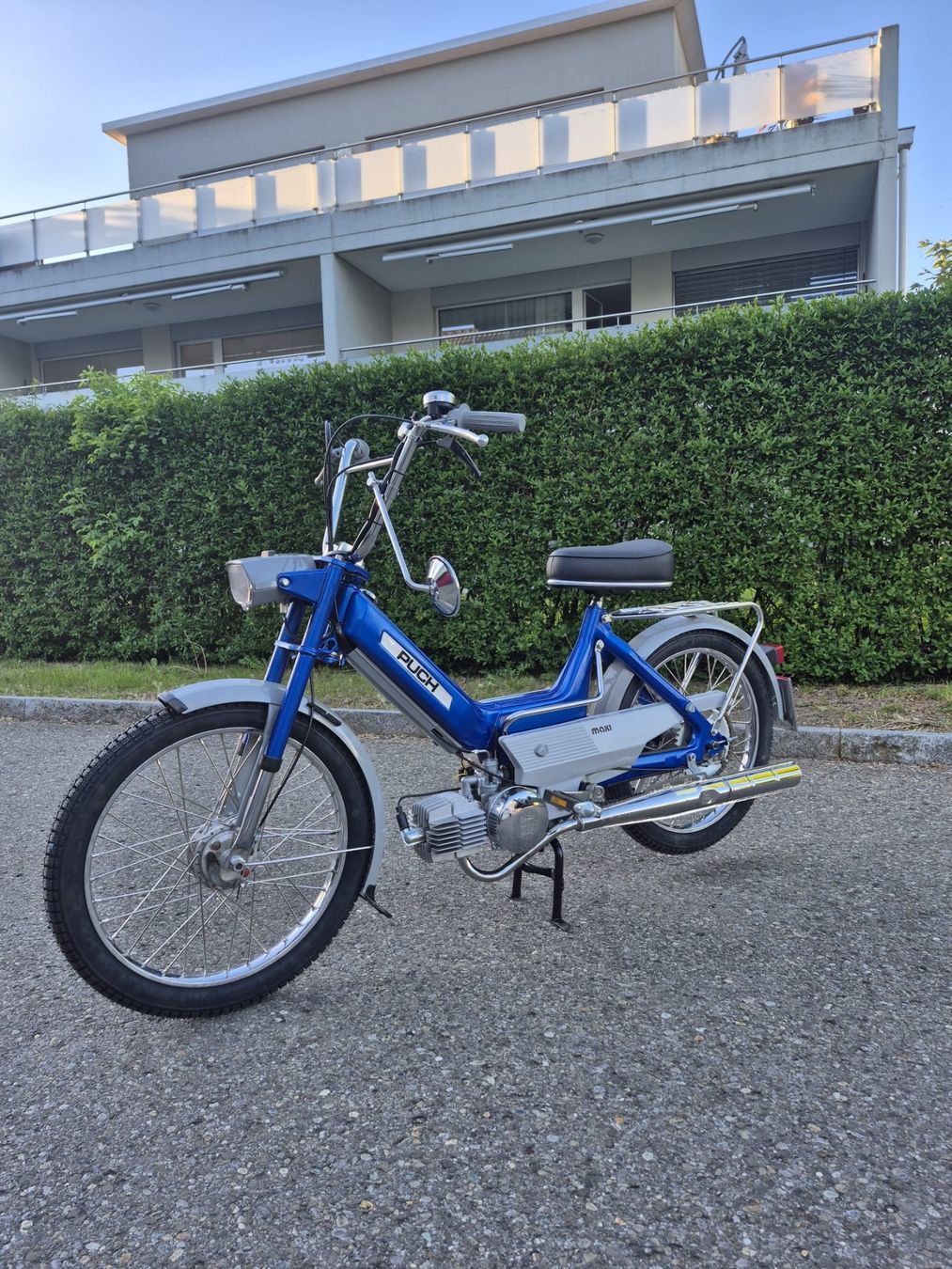 Puch Mofas: Puch Maxi N, Neu-Aufbau – Gebraucht aus Wallenwil von Flieger001