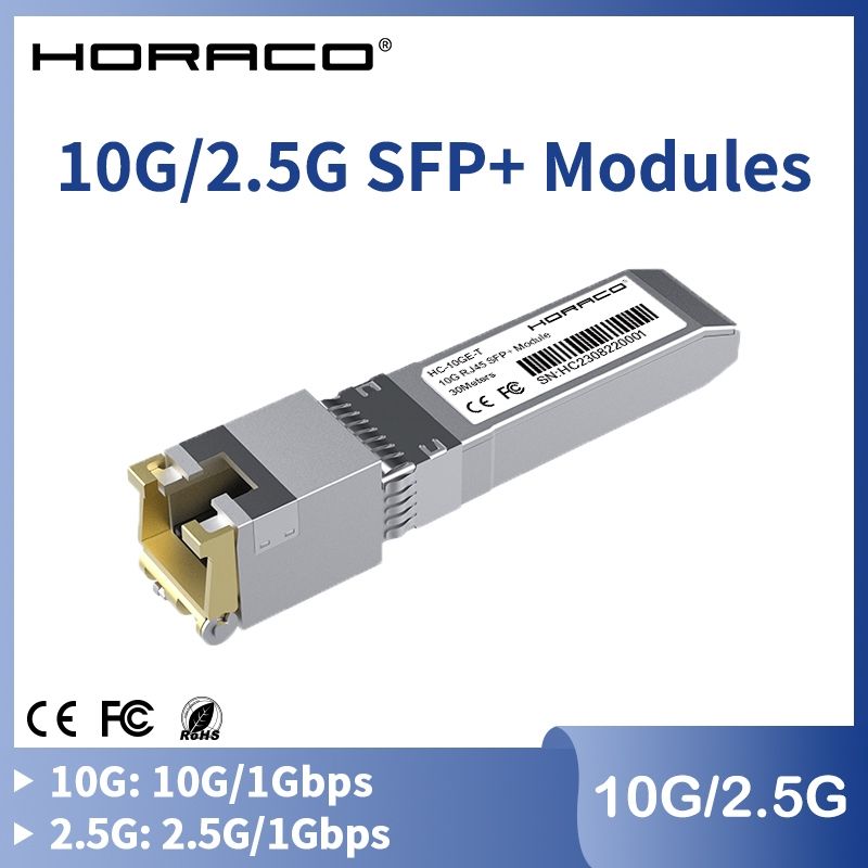 Unità & Adattatore: 2.5G SFP Module HORACO - Neu – Nuovo e nell'imballaggio originale da Villmergen venduto da Theheadbanger 2