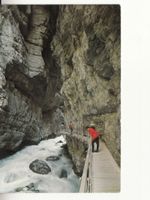 Grindelwald Gletscherschlucht ca. 1960