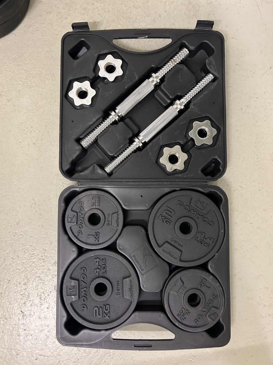 Decathlon Manubri & Pesi: Domyos Set 20 kg Dumbbell – Usato da Bottmingen venduto da a_kings 1