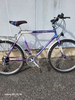 Citybike ,21Gang, 54cm grösse