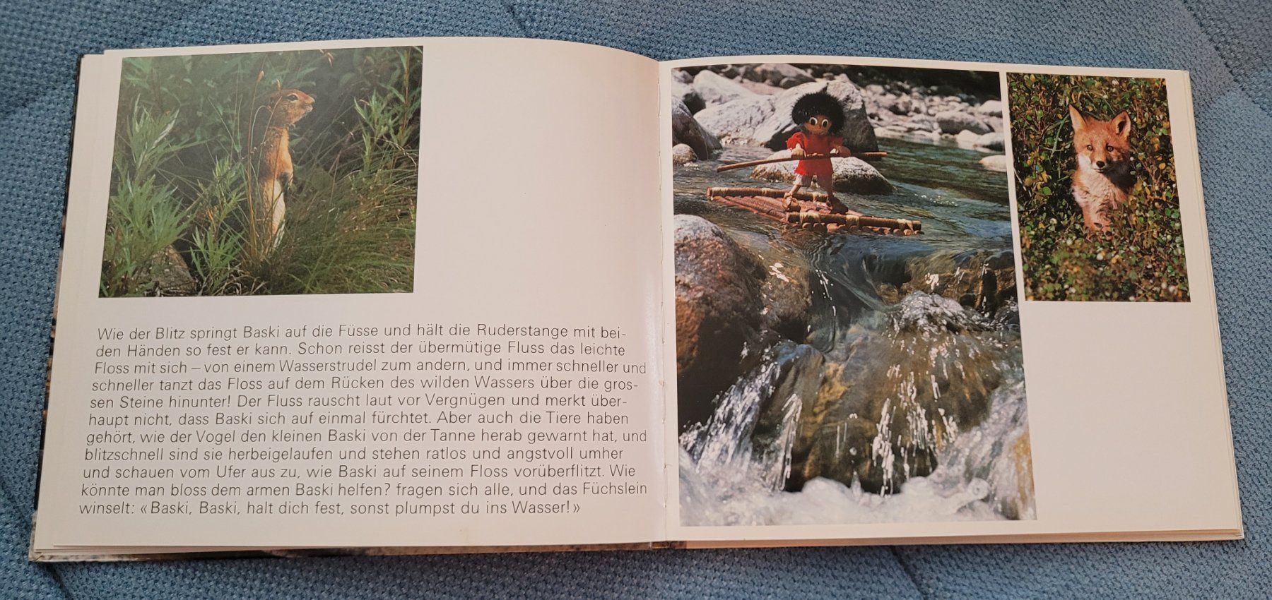 Libri: Baskis grosse Flussfahrt – Usato da Sevelen venduto da Motchi 3