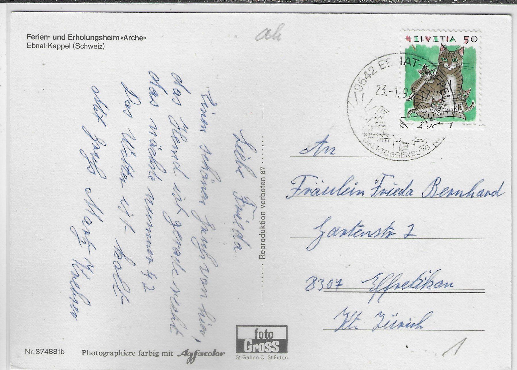 Cartoline postali: Ferien- und Erholungsheim "Arche" Ebnat-Kappel – Usato da Ettingen venduto da Kartenplanet 1