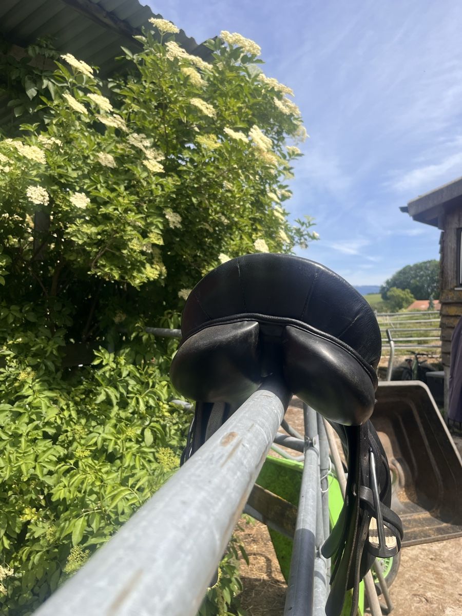 Selle & Accessori: Selle 16.5 – Usato da Montagny-la-Ville venduto da lei_86qx 1