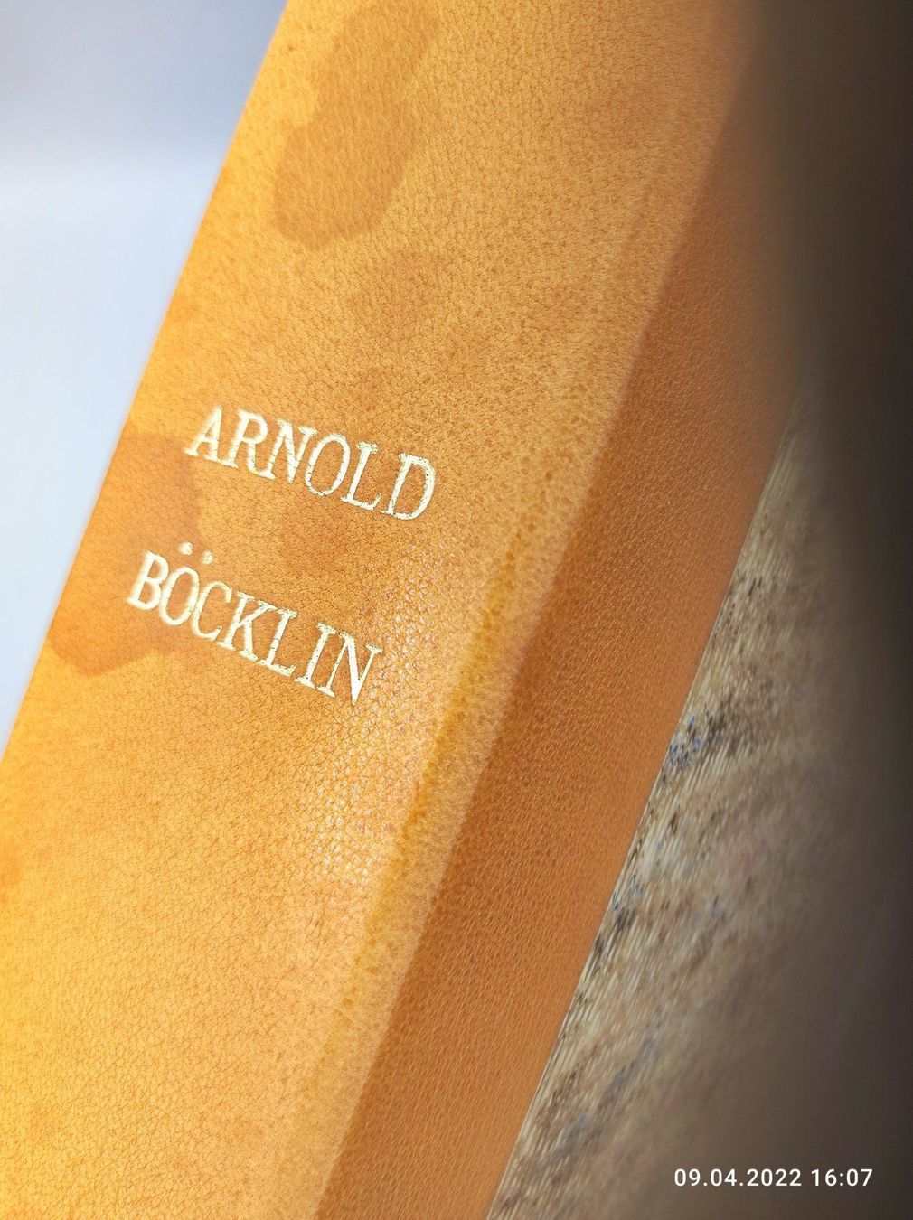 Libri: ARNOLD BÖCKLIN – Usato da Goldach venduto da Gaip 7