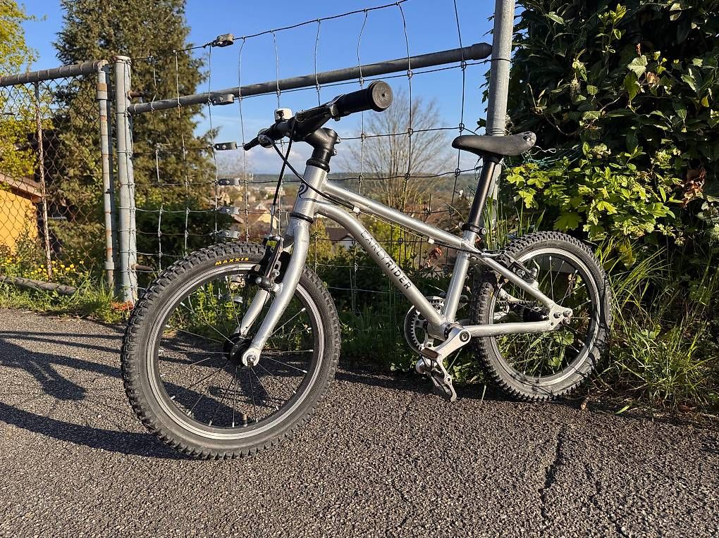 Early Rider Biciclette: Early Rider Belter Trail 2019 16" – Usato da Bellach venduto da Fs123