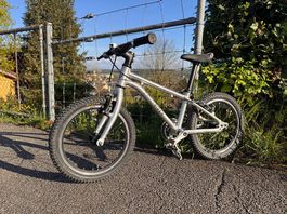 Early Rider Belter Trail 2019 16"