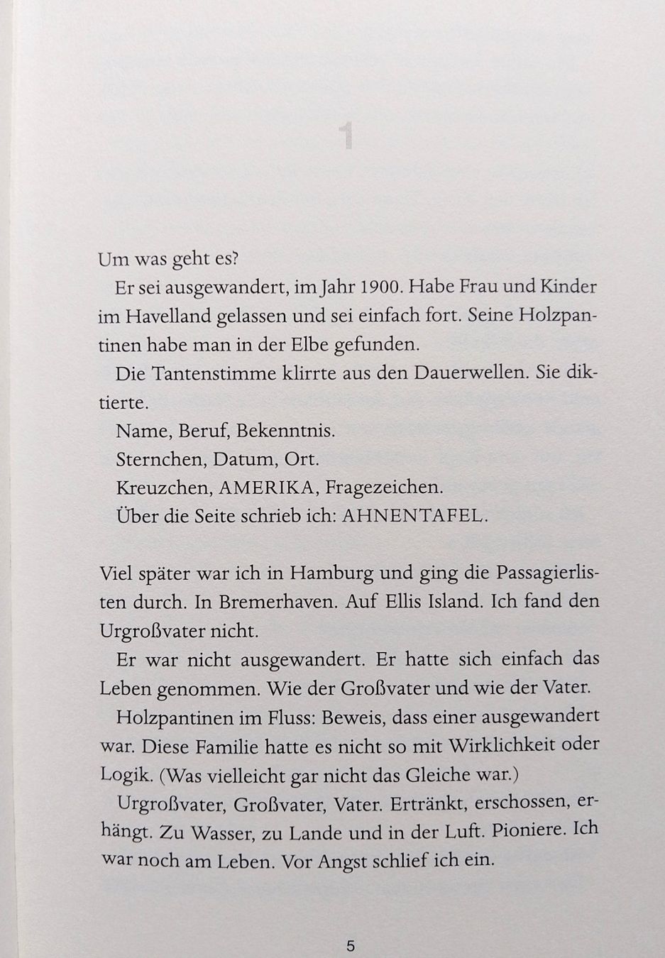 Libri: Bov Bjerg: Serpentinen . Roman – Usato da Zürich venduto da Flitzi2005 4