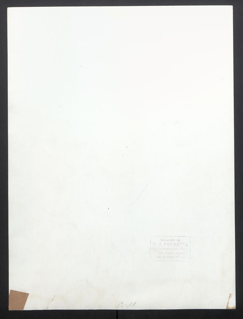 Fotografie & Manifesti: Fotografie W. A. Foerster, Überlingen,  – Usato da Berlin venduto da bartko-reher 1
