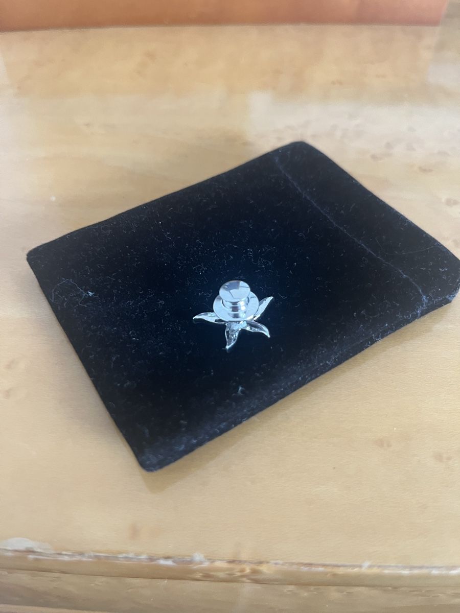 Swarovski Sonstiger Schmuck: Swarovski Seestern Pin Blaue Kristalle – Neu (gemäss Beschreibung) aus Saanen von SoniaMichaela 1