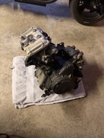 Kawasaki Ninja 500 SE Motor 2024 Defekt Projekt