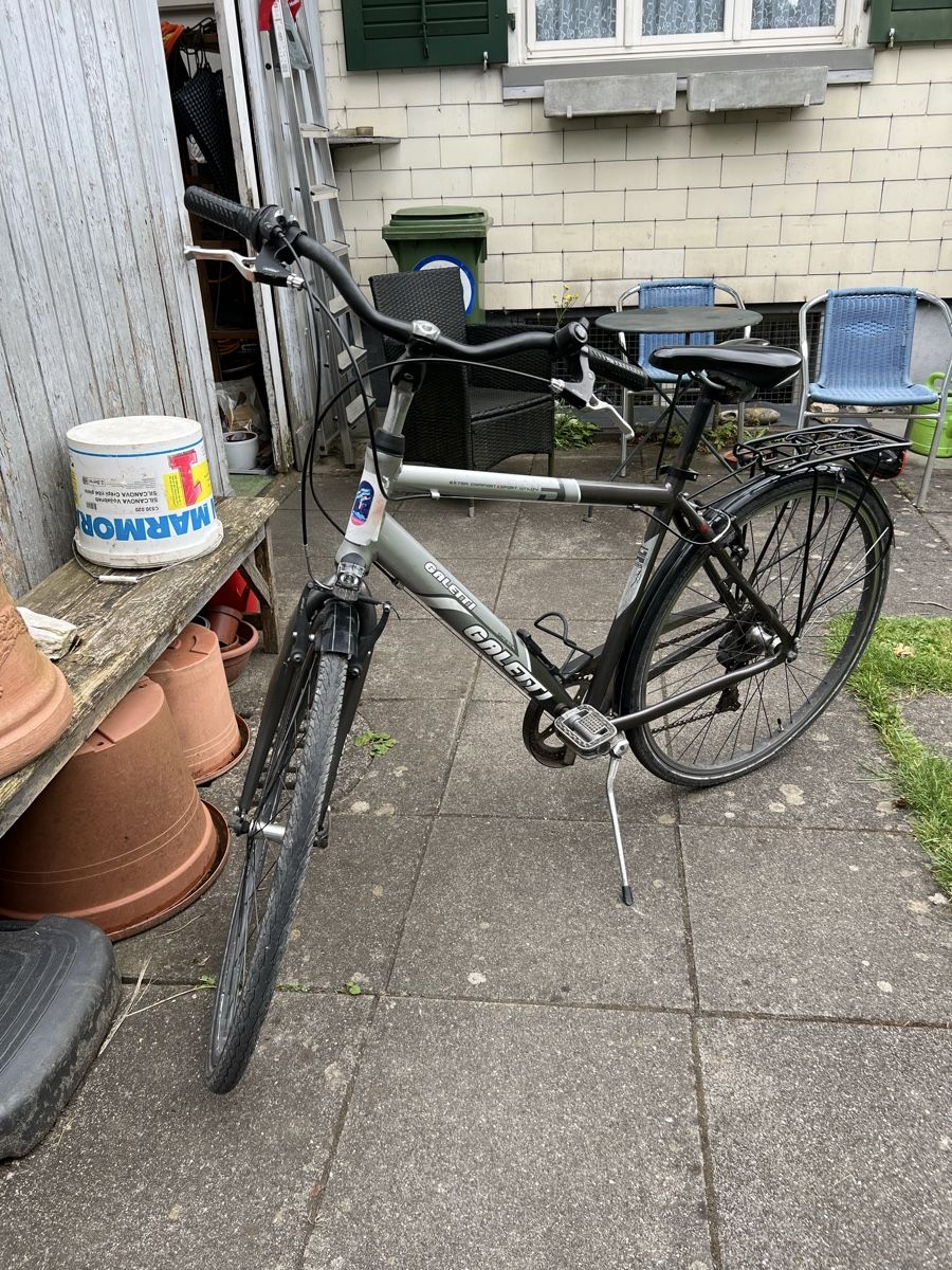 Biciclette: Fahhrad Galetti Genetic  – Usato da Biel/Bienne venduto da dam_fr2b