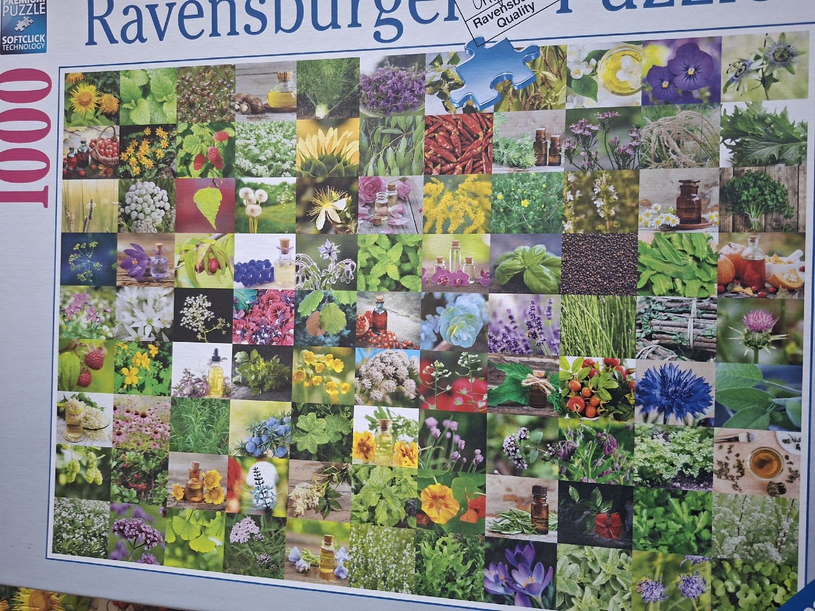 Ravensburger Puzzle: Ravensburger Puzzle 1000 Teile – Usato da Sumiswald venduto da Cicco02