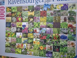 Ravensburger Puzzle 1000 Teile