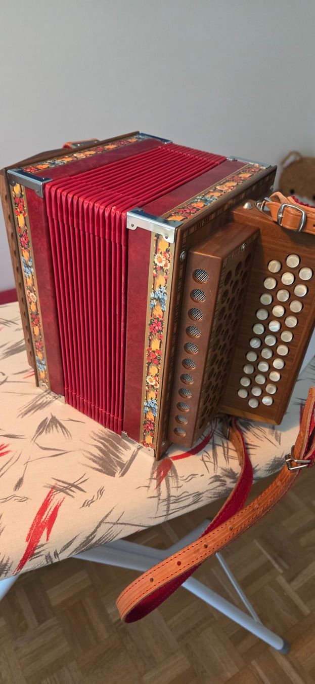 Strumenti musicali: Véritable Schwyzerörgeli – Finition bois de qualité – Usato da Villars-sur-Glâne venduto da S211-Vap 7