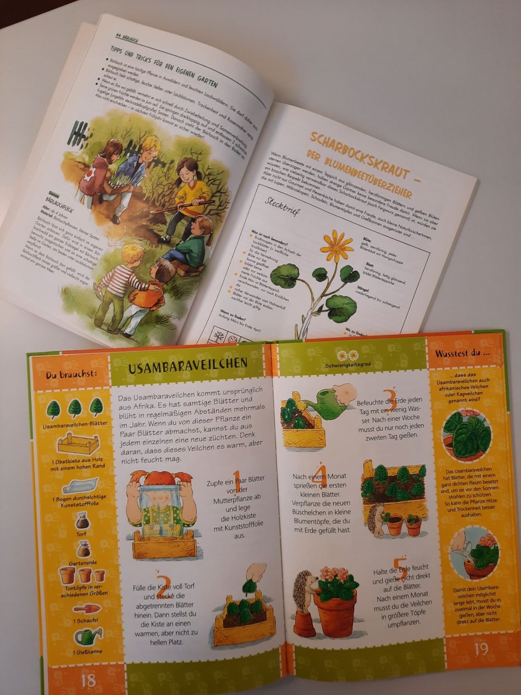 Livres: Bücherpaket Garten – D'occasion à Zürich par ONVA-RE-USE 2