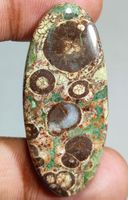 Cabochon L-8601 – Krokodil Jaspis 46X20X5mm 39 Karat