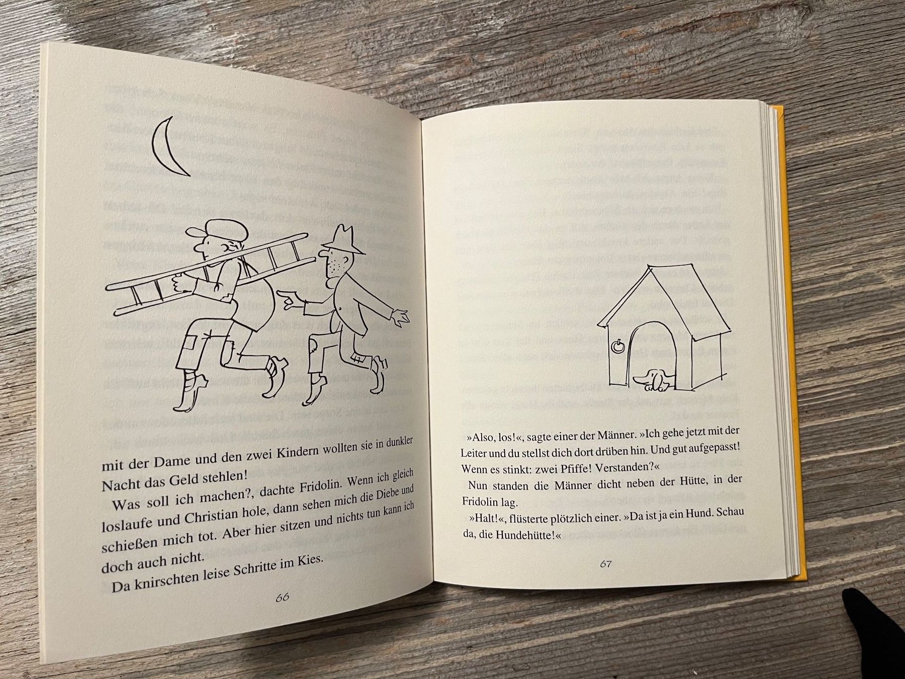 Libri: Kinderbuchklassiker:  Fridolin Eine lustige Geschichte – Usato da Pfäffikon ZH venduto da buresi 5