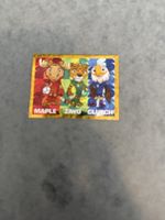 Panini fwc3