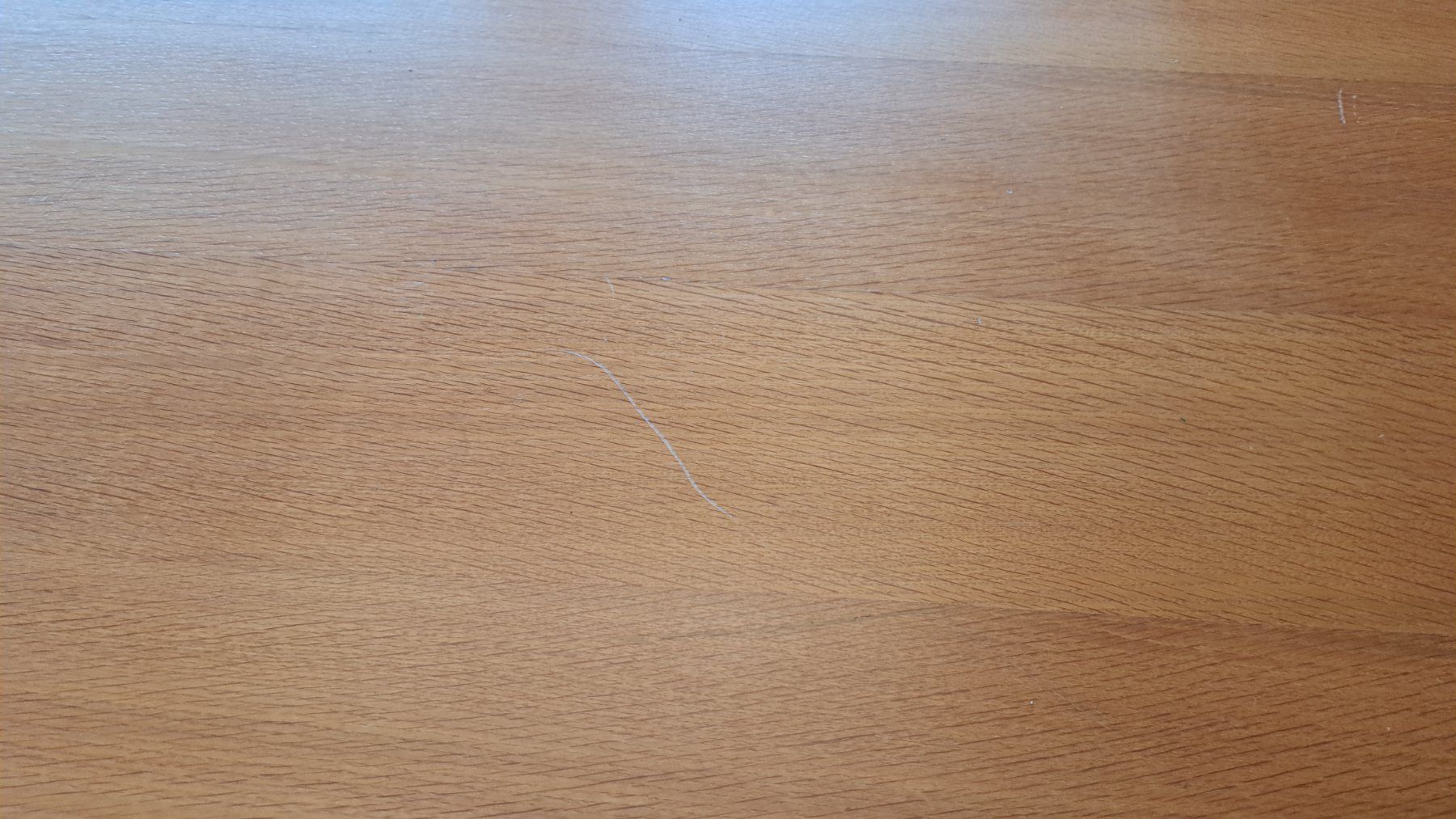 Tavoli: Tisch für Büro oder Essen – Usato da Wikon venduto da Ejeturs 1