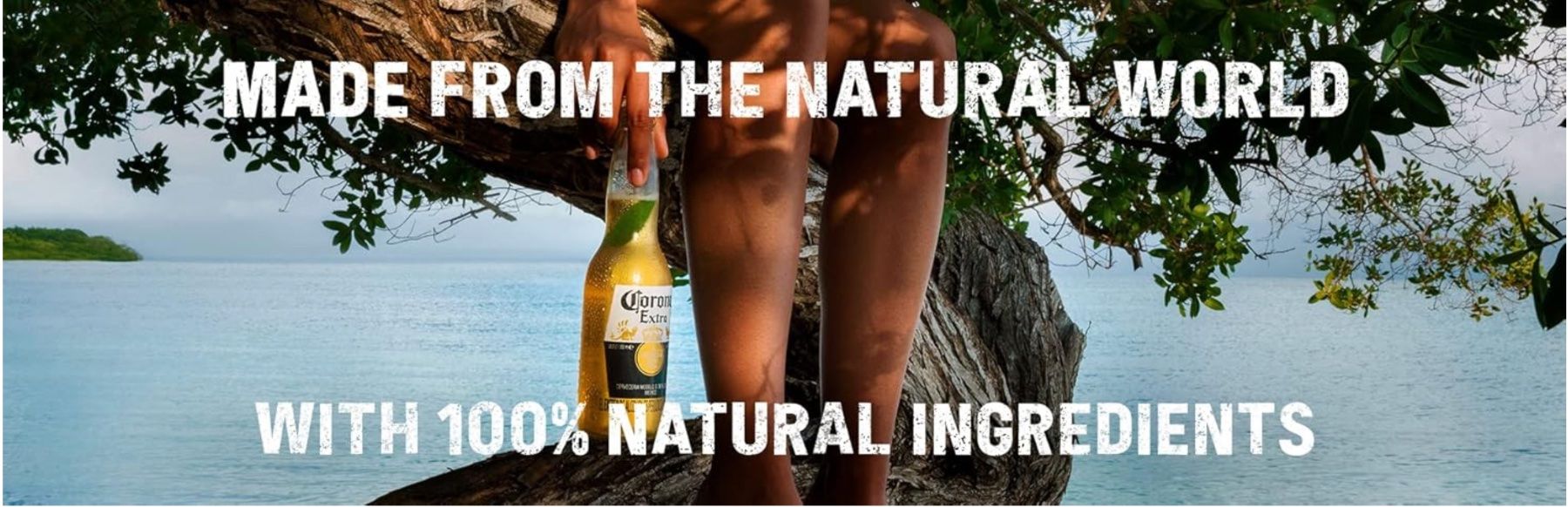 Bevande alcoliche: Corona Extra Coolbox   Mexico Premium Kühltruhe mit 12 Fl. – Nuovo e nell'imballaggio originale da Bülach venduto da StoreInShopSwiss 8