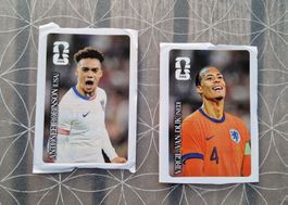Panini 2026