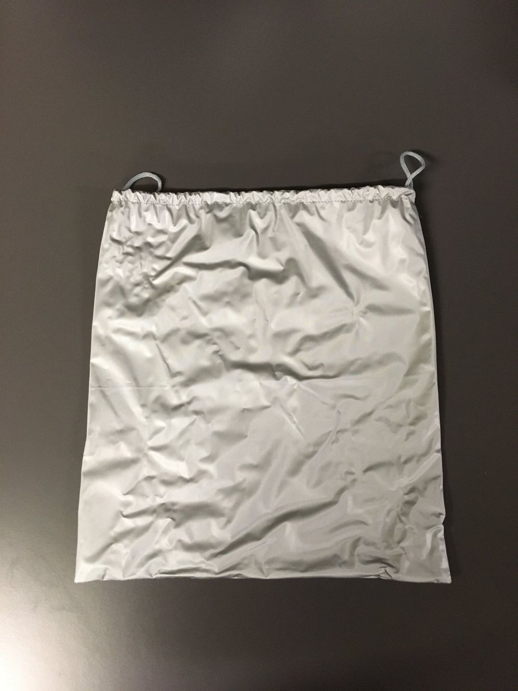 Prada Borse: Prada Schuhbeutel Schuhtasche Nylon silber grau, neu – Nuovo (secondo la descrizione) da Zuerich venduto da Dankri 1