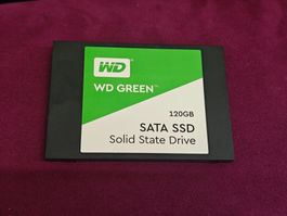 Western digital SSD WD Green 120GB SATA 2.5"