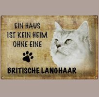 🔥 BRITISCH LANGHAAR Katzen Blechschild 🎀 20x30cm OVP 🔥