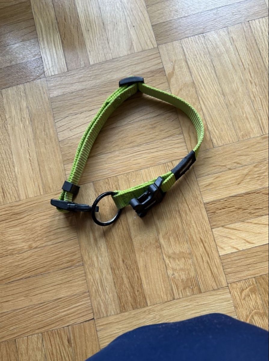 Hunter Leine & Halsband: Reezaeck Hundehalsband – Neu (gemäss Beschreibung) aus St. Gallen von oli_ryy9