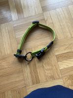 Reezaeck Hundehalsband