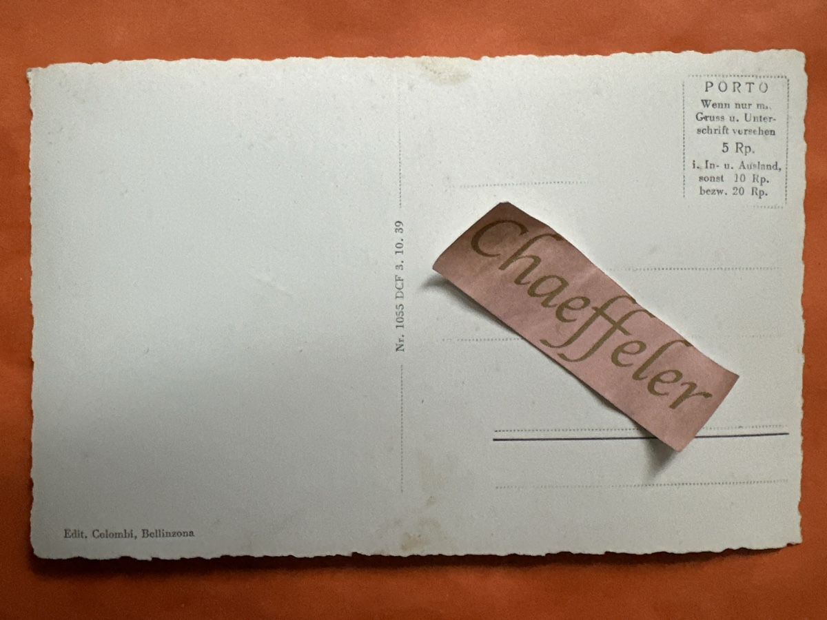 Cartoline postali: Alte Ansichtskarte Bellinzona Porto  – Usato da Zürich venduto da Chaeffeler 1