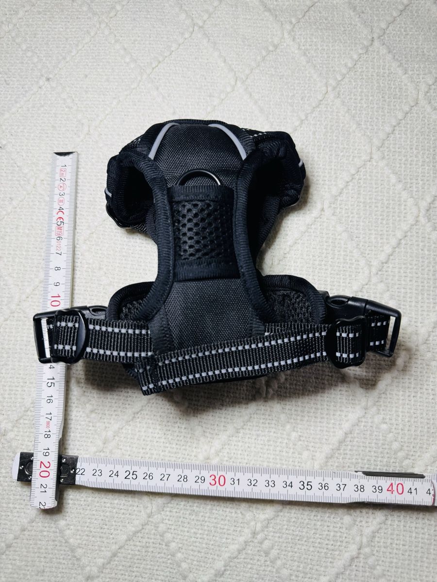 Collier et laisse: Hunde- oder Katzengeschirr NEU – Neuf (Voir description) à Eschlikon TG par little.dove 2