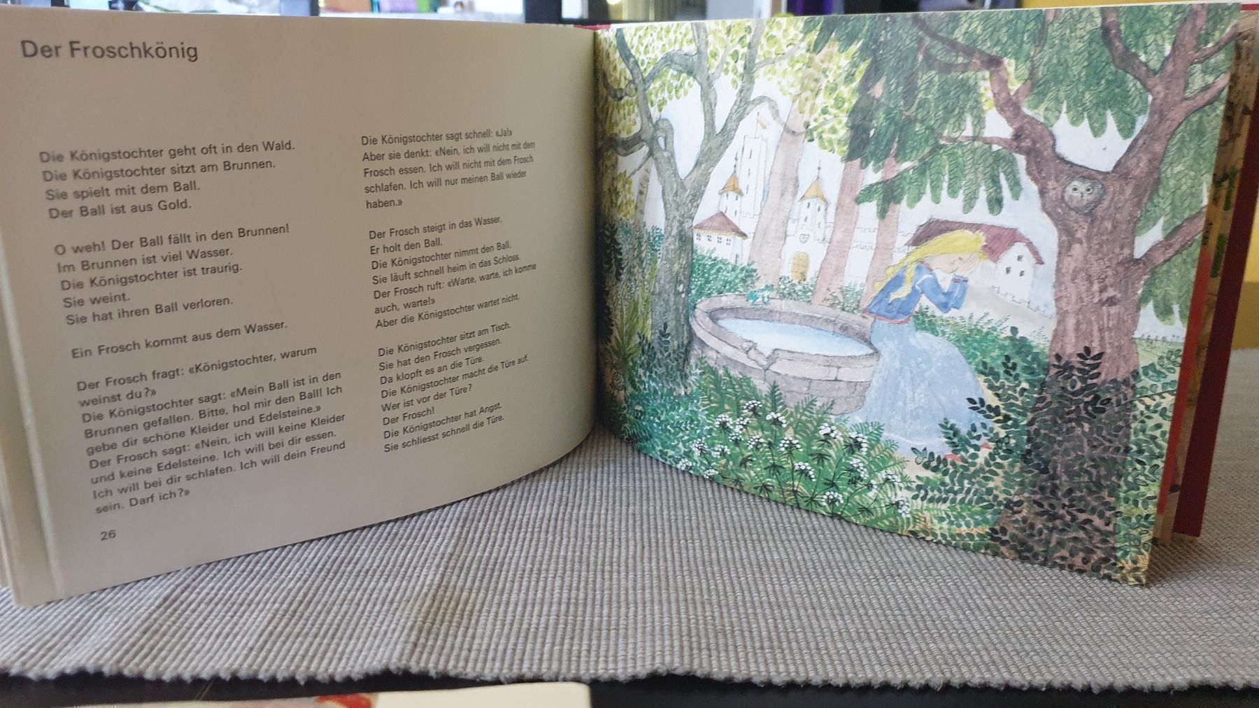Libri: ICH LESE  BRÜDER GRIMM – Nuovo (secondo la descrizione) da Zürich venduto da Ralaualiyas 5