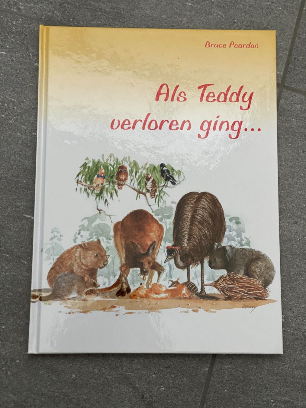 Libri: Buch "Als Teddy verloren ging..." – Nuovo (secondo la descrizione) da Rafz venduto da and_lxd8