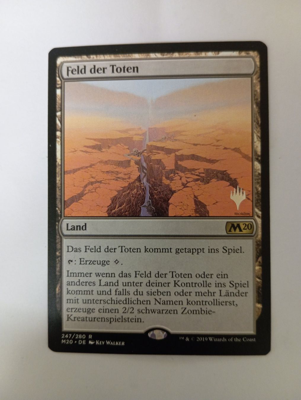 Magic The Gathering Sammelbilder & Trading cards: MTG Single:  Feld der Toten NM DE – Neu (gemäss Beschreibung) aus Biel/Bienne von Wolfsrudel999