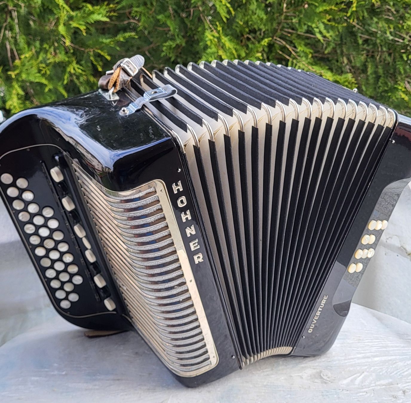 Hohner Strumenti musicali: Accordéon hohner Ouverture 4 voix – Usato da Penthalaz venduto da EvandroLuz 2