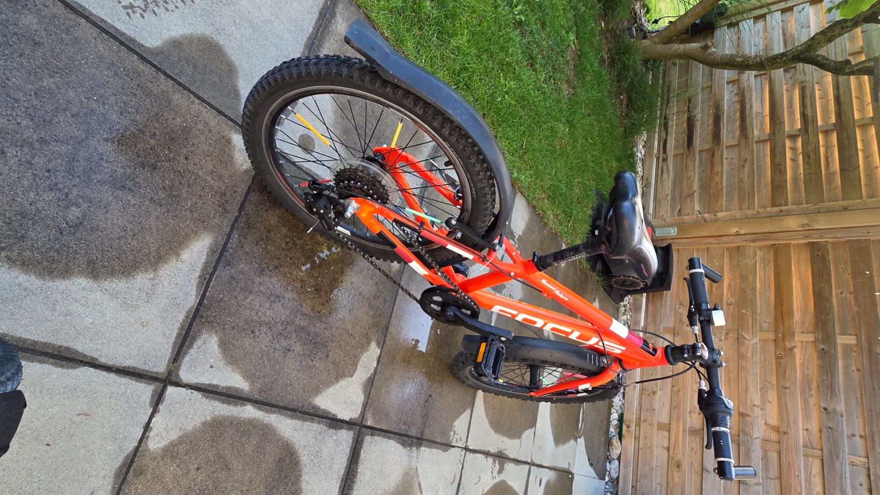 Focus Biciclette: Kinder-Velo 20", Marke FOCUS – Usato da Gossau SG venduto da Mr_raab 2