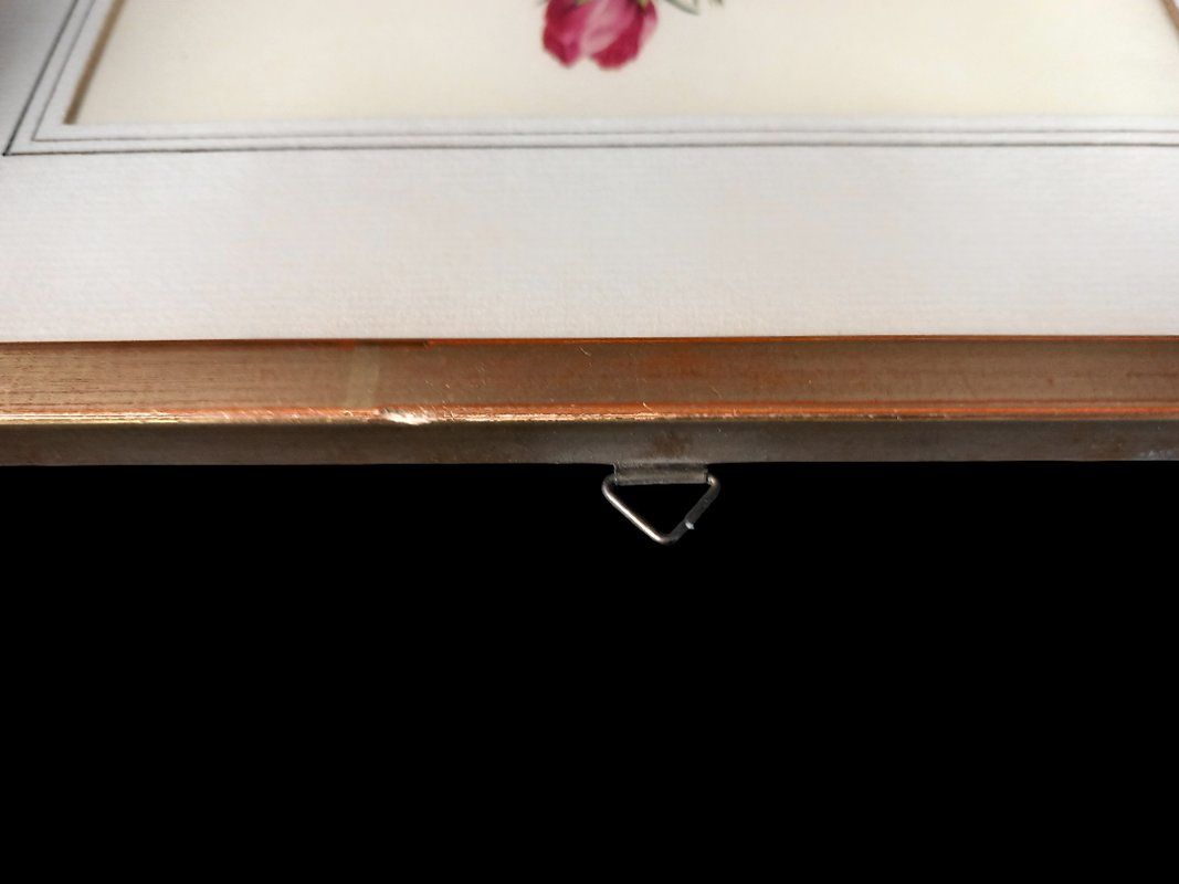 Foto & Immagini: Blumenbild in Bilderramen – Usato da Hünenberg venduto da Restwert_Zug 6