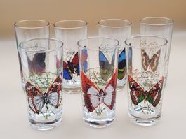 7 verres collection papillons du monde