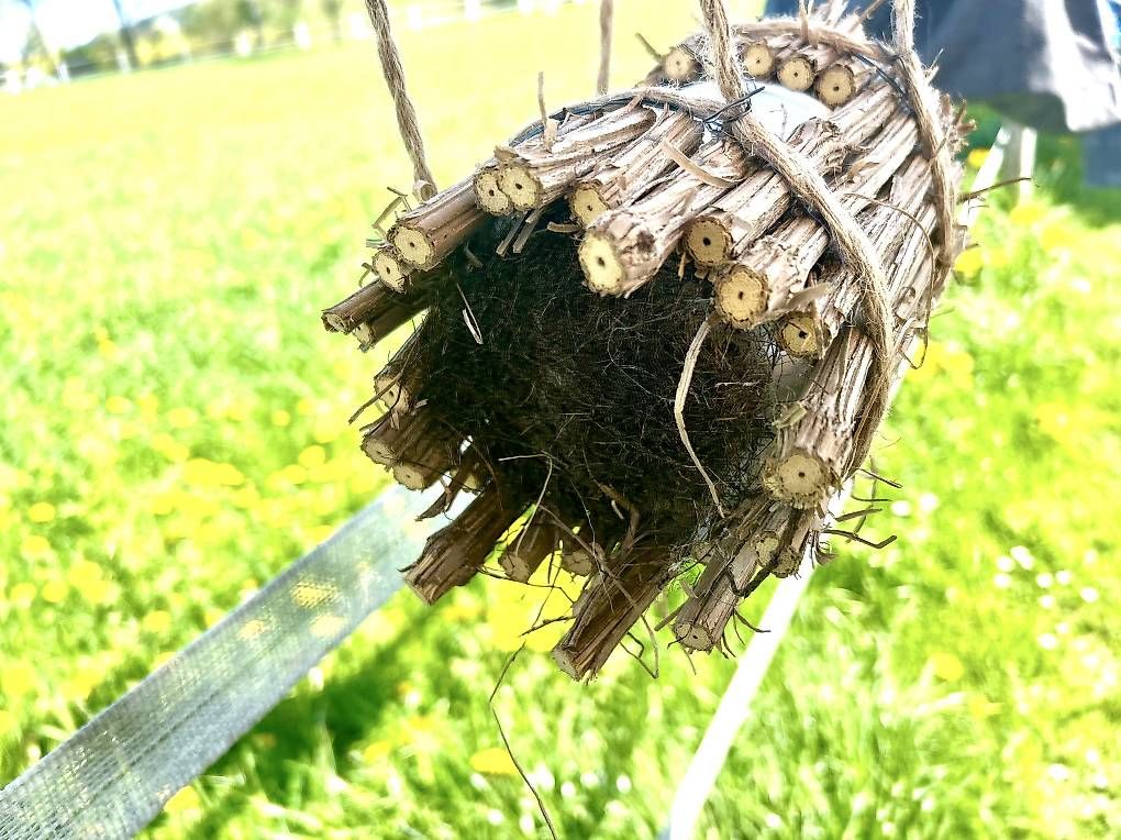 Vasi per fiori: Hängetopf  – Usato da Frauenfeld venduto da Irene.Schuppli 3
