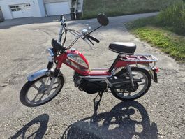 Pony 503 GTX Kat